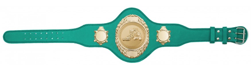JIU JITSU CHAMPIONSHIP BELT-PLT286/G/JJG-4 COLOURS JIU JITSU CHAMPIONSHIP BELT-PLT286/G/JJG-4 COLOURS